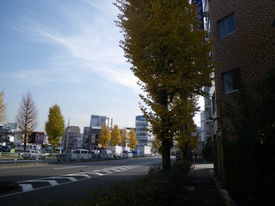 環八通りを南下